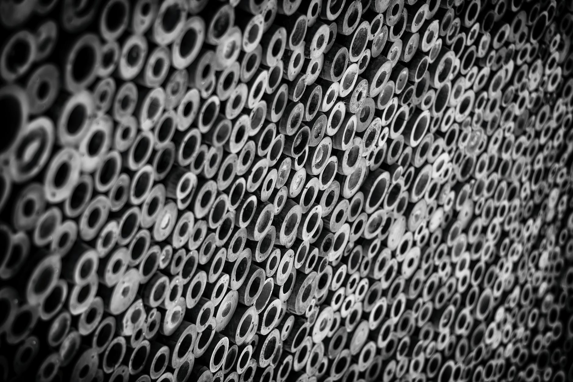 abstract art background bamboo