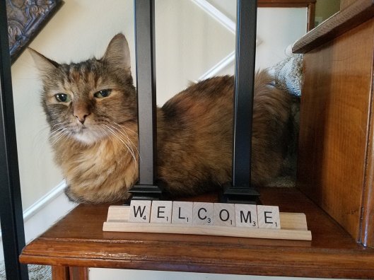 44911861_10158359259102228_8582831832783912960_o